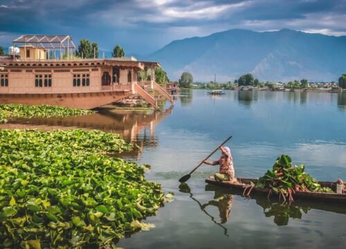 Kashmir -5 Nights 6 Days- tour